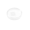 2 Pieces Camera Lens Tempered Glass Film Protector for Huawei Honor V10