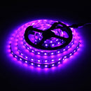 3M DC12V 43.2W 180 SMD 5050 Non-waterproof Red/Blue/Green/White/Warm White/RGB Flexible LED Strip