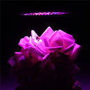 E27 15W LED Hydroponic Plant Grow Full Spectrum Indoor Light Bulb