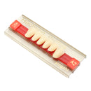 3 Set 84*1 A2 Color Denture Dental Acrylic Resin Teeth Upper + Lower Shade