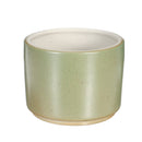 Backflow Incense Burner Censer Ceramic Glass Cup Dragon Home Decor