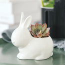 Ceramic Succulent Plant Container Flower Pot Planter Holder Vase Animal Shape Decorations