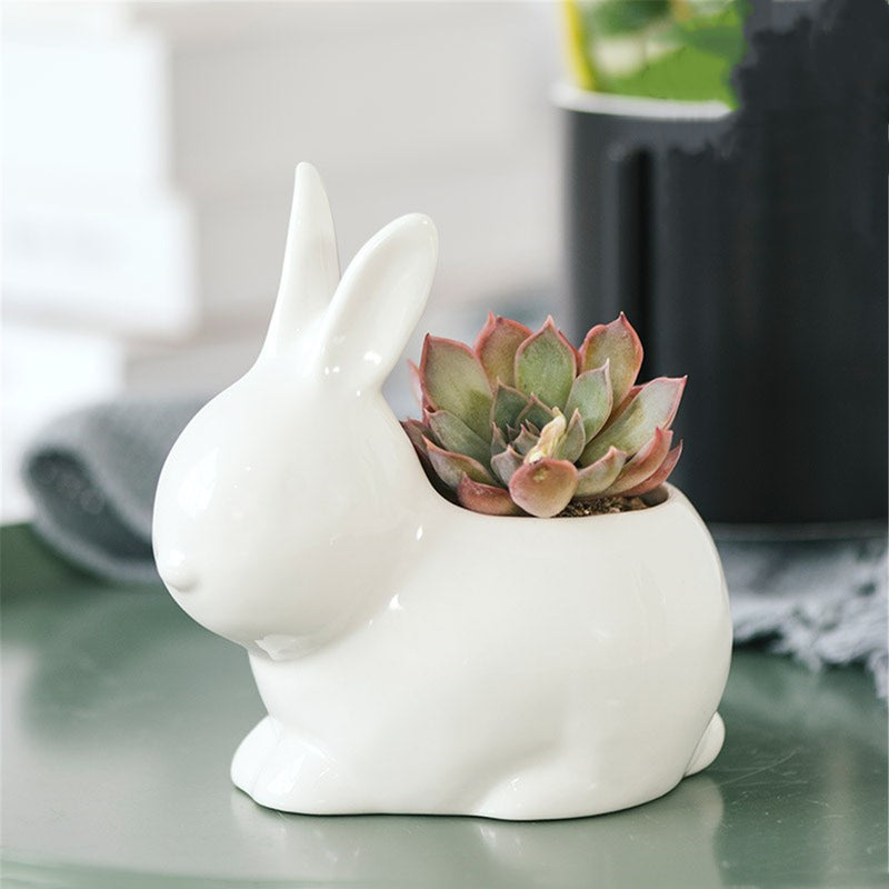 Ceramic Succulent Plant Container Flower Pot Planter Holder Vase Animal Shape Decorations