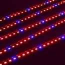 5PCS 50CM SMD5630 Hydroponic Waterproof/Non-waterproof LED Grow Bar Rigid Strip Light DC12V