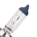 H7 DC 12V 55W 3500K High Bright Xenon Halogen Head Light Lamp Bulb