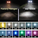 H1 55W DC 12V 6000K HID Kit Xenon Headlight Conversion Light Bulbs