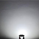 2pcs White 31mm 12smd COB LED Bulb Festoon Lamp For Car Dome Map Lights