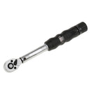 Bicycle Bike Torque Wrench 1/4'' Drive Hex Socket Bit Set Repairing Spanner