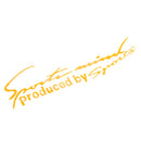 Sport Reflective Decor Sticker Decal for Car Hood Lamp Eyebrow Bumper Window