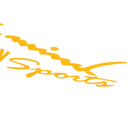 Sport Reflective Decor Sticker Decal for Car Hood Lamp Eyebrow Bumper Window