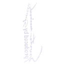 Sport Reflective Decor Sticker Decal for Car Hood Lamp Eyebrow Bumper Window