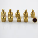 10 Pieces Motorcyle Car Slotted Head Valve Stem Caps with Core Remover Tools