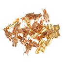 12V 2Way Circuit Car Boat Auto Automotive Relay Blade Fuse Box Holder Kits