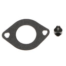 New Carburetor for Briggs Stratton 799728 498027 498231 499161 Carb