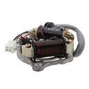 Silver Motorcycle Magneto Stator Ignition Rotor Coil for Yamaha PW50 PY50