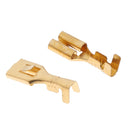 High Quality 50Pcs Brass Crimp Terminal Cable Locking Female Spade 6.3mm