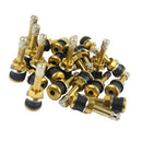20pcs Car Truck TR500 Straight Copper Tubeless Tire Wheel Valve Stems Kit