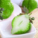 500Pcs Green Strawberry Seeds Garden Fruit Seeds Heirloom Super Strawberry Garden Seeds