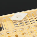 Bee Queen Rearing Cell Cupkit Box Case For Cupularve System Beekeeping Tools Set