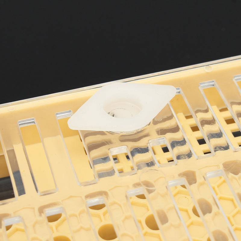 Bee Queen Rearing Cell Cupkit Box Case For Cupularve System Beekeeping Tools Set