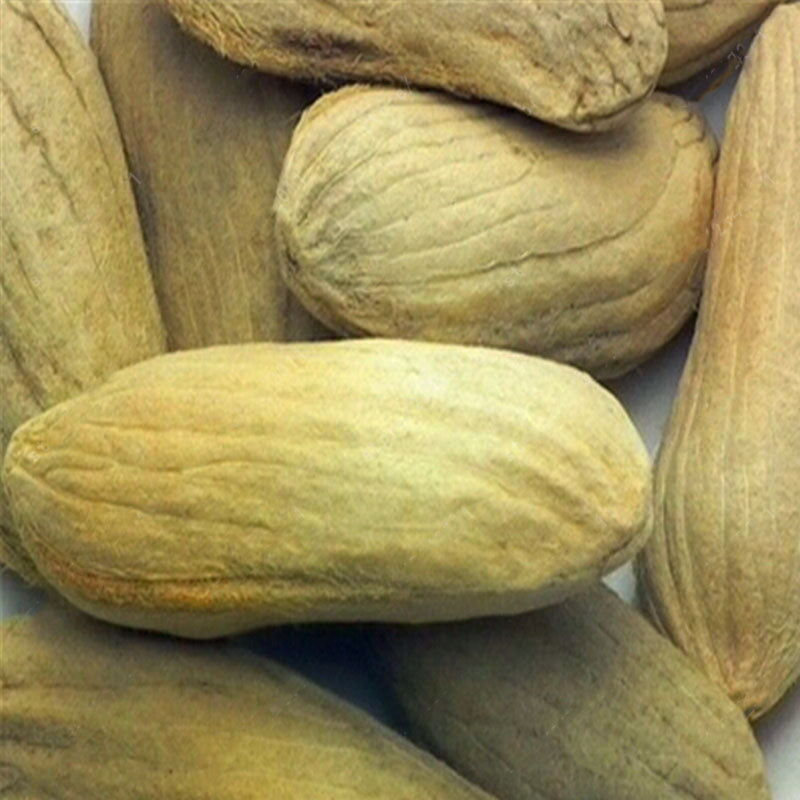 Egrow 1pc Edible Mango Fruit Seeds Garden Courtyard Outdoor Plants Mango Tree Seed