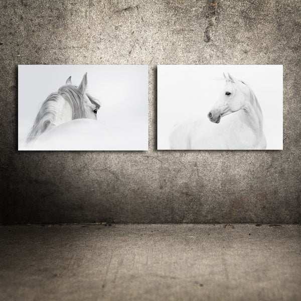 Miico Hand Painted Combination Decorative Paintings Black And White Horse Wall Art For Home Decoration