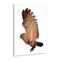 Miico Hand Painted Oil Paintings Simple Style-B Flying Owl Wall Art For Home Decoration Painting