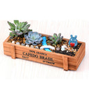 Natural Rectangle Wooden Succulent Plant Flower Bed Pot Box Garden Planter