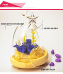 Star Glass Cover Landscape Vase Container Plant Flower Decor Wooden Tray