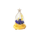 Star Glass Cover Landscape Vase Container Plant Flower Decor Wooden Tray