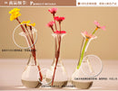 Siamesed 3-Flask Shape Flower Glass Vase Bottle Fish Tank Home Decoration