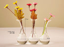Siamesed 3-Flask Shape Flower Glass Vase Bottle Fish Tank Home Decoration