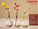 Siamesed 3-Flask Shape Flower Glass Vase Bottle Fish Tank Home Decoration