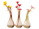 Siamesed 3-Flask Shape Flower Glass Vase Bottle Fish Tank Home Decoration