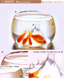 Clear Rockery Flower Glass Vase Bottle Fish Tank Aquarium Home Decoration
