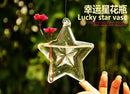 Star Hanging Glass Flower Hydroponic Vase Bottle Terrarium Container Decor