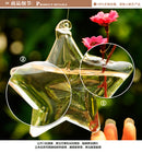Star Hanging Glass Flower Hydroponic Vase Bottle Terrarium Container Decor