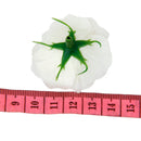50Pieces Artificial Floral Silk Rose Flower Blossom Heads Home Decor White