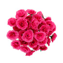 Artificial Realistic Silk Rose Flower Heads Bulk Wedding Party Table Centerpiece DIY Flowers Pack of 50PCS Rosy