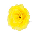 Artificial Realistic Silk Rose Flower Heads Bulk Wedding Party Table Centerpiece DIY Flowers Pack of 50PCS Yellow