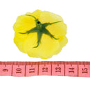 Artificial Realistic Silk Rose Flower Heads Bulk Wedding Party Table Centerpiece DIY Flowers Pack of 50PCS Yellow