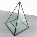 Stylish Modern Design Pyramid Shaped Glass Greenhouse Moss Miniature Decor Home Office Shop Supplies Clear