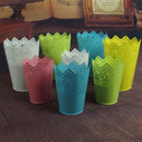 Metal Cut Out Plant Vase Pot Pen Makeup Brush Holder Desk Tidy Organiser WHT