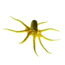 Artificial Soft Silicone Glowing Effect Octopus with Sucker Fish Aquarium Tank Decoration Ornaments Pet Supplies Yellow S