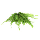 Large Soft Green Imitation Fern Artificial Grass Leaves Plant for Wedding Home Decor