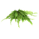 Large Soft Green Imitation Fern Artificial Grass Leaves Plant for Wedding Home Decor