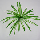 Plastic Lifelike Artificial Chlorophytum Bush Plants Foliage Plant DIY Decor