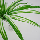 Plastic Lifelike Artificial Chlorophytum Bush Plants Foliage Plant DIY Decor