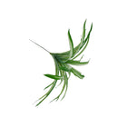 Plastic Lifelike Artificial Chlorophytum Bush Plants Foliage Plant DIY Decor