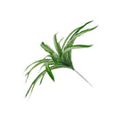 Plastic Lifelike Artificial Chlorophytum Bush Plants Foliage Plant DIY Decor